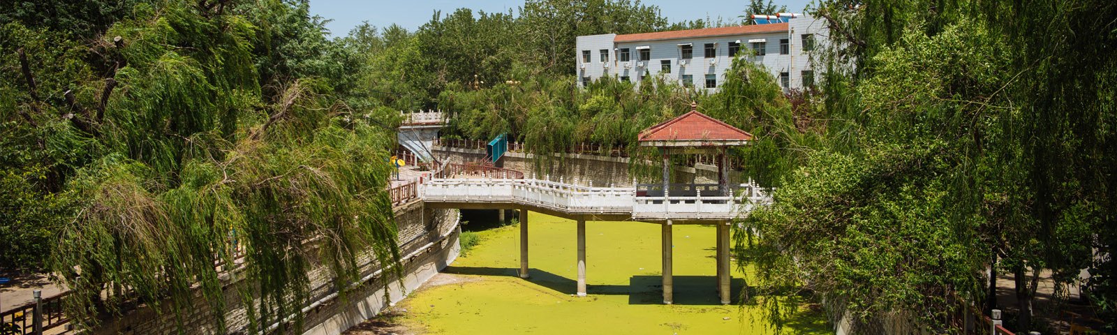 ��ʦ��չ�о����ģ��