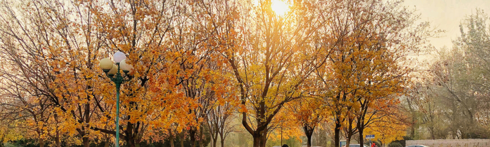 ɽ��ʡ��Ϣ���ӻ�����㾭�ù��̼����о�����